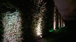 WP_20141030_18_35_20_Pro__highres