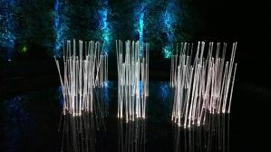 WP_20141030_19_35_24_Pro__highres