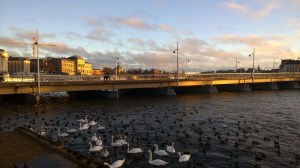 WP_20150129_15_12_00_Pro