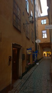 WP_20150129_15_26_08_Pro