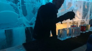 WP_20150131_16_45_29_Pro