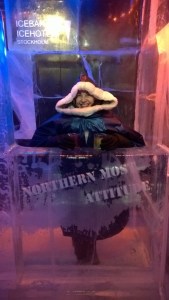 WP_20150131_16_54_57_Pro