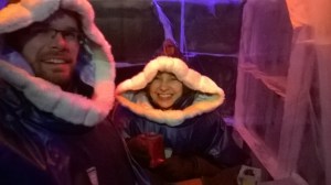 WP_20150131_16_55_45_Pro