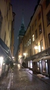 WP_20150201_18_35_19_Pro