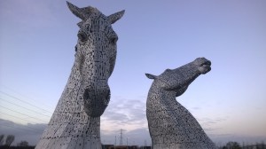 WP_20150102_15_49_18_Pro