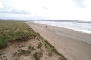 KONICA MINOLTA DIGITAL CAMERA