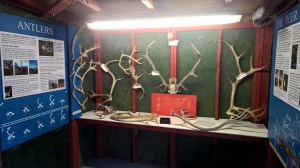 WP_20150531_12_41_17_Pro