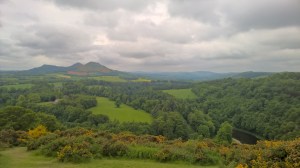 WP_20150613_09_33_35_Rich