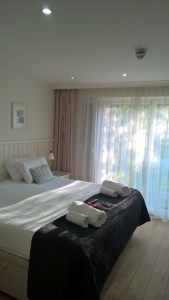 WP_20150724_19_31_03_Pro