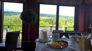 WP_20150725_07_53_42_Pro