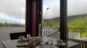 WP_20150725_07_54_02_Pro