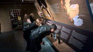 WP_20150801_09_39_42_Pro