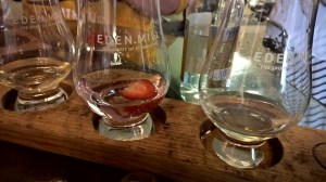 WP_20150801_15_08_54_Pro