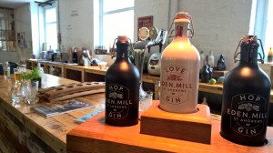 WP_20150801_15_40_35_Pro