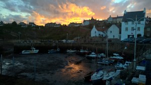 WP_20150801_21_07_02_Pro