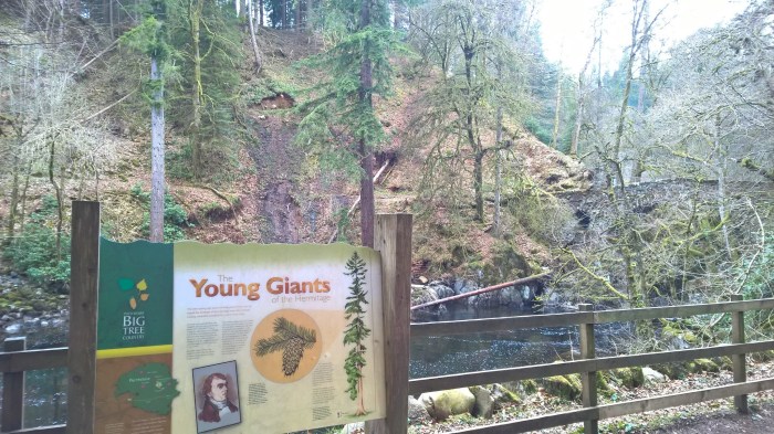 WP_20160321_12_50_44_Pro__highres