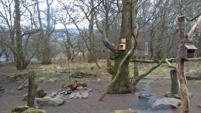 WP_20160323_15_21_40_Pro__highres