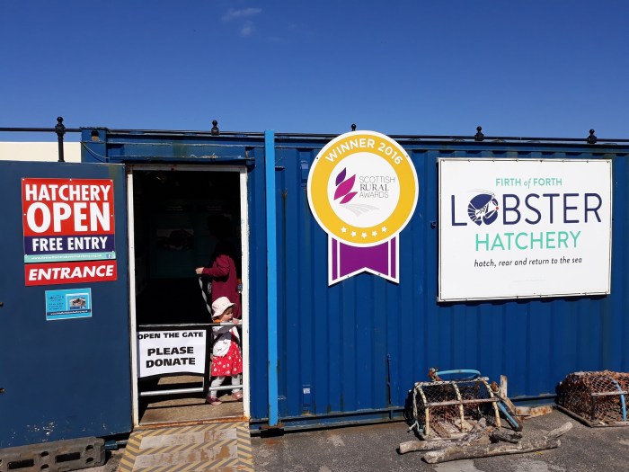 The Lobster Hatchery, North Berwick