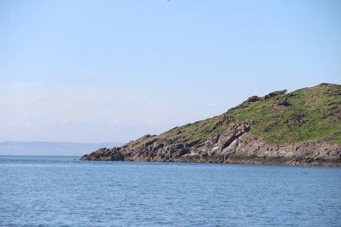 Craigleith Island, Firth of Forth