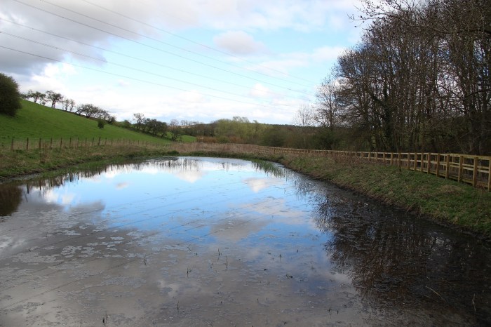 Glenkinchie Wildlife Tour, East Lothian 