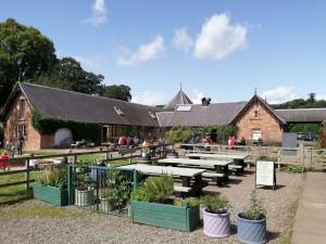 Harestanes Scottish Borders Farm Courtyard blue skies, family holiday