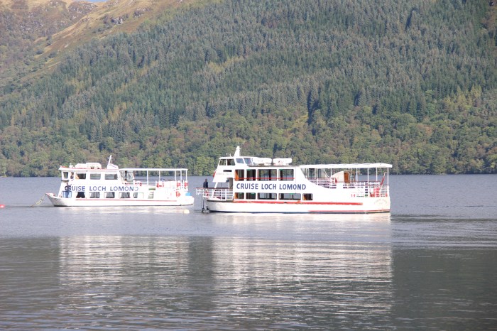 white boat in water sunny reflection