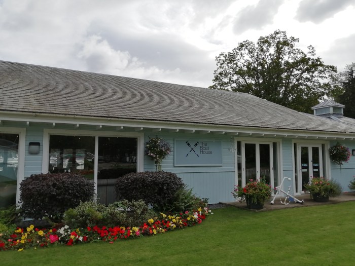 building flowers grey skies