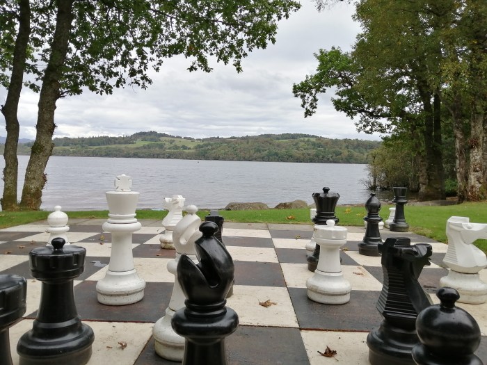 chesse pieces open body of water trees