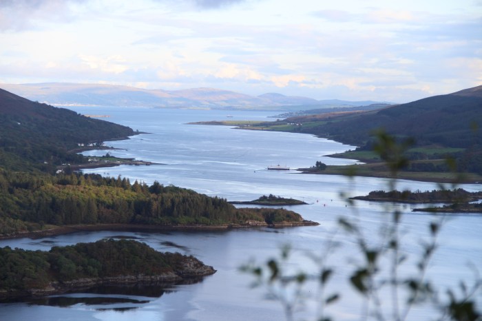 open water sea channel trees