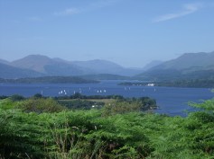 blue skies green bushes open water
