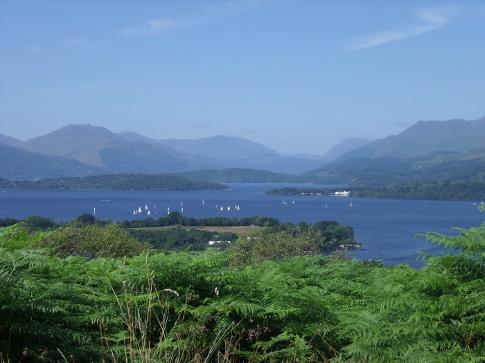 blue skies green bushes open water