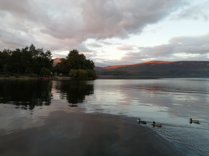 open water mountains ducks sunset golden hour