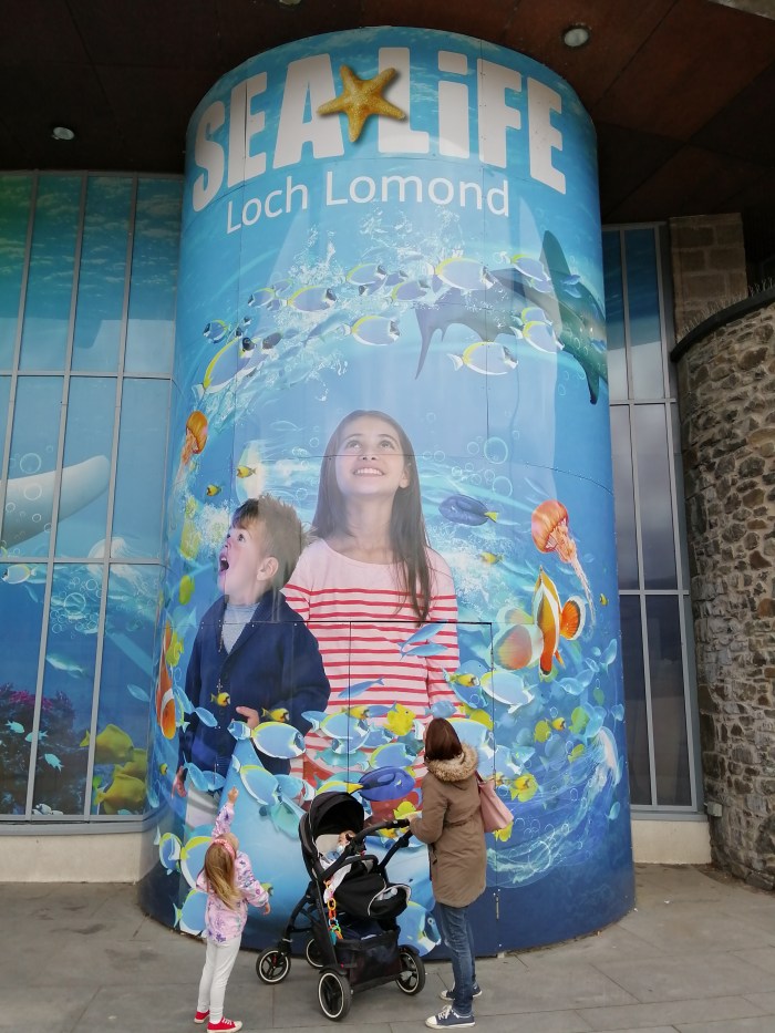 sign baby pram little girl in pink