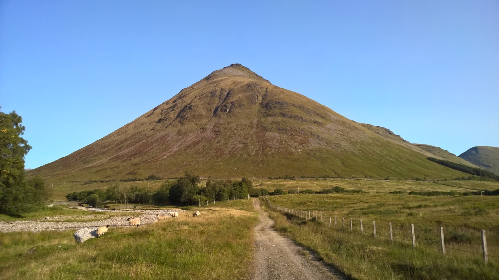 west highland way, scotland, mountain, countryside, pathway, blue skies, sheep