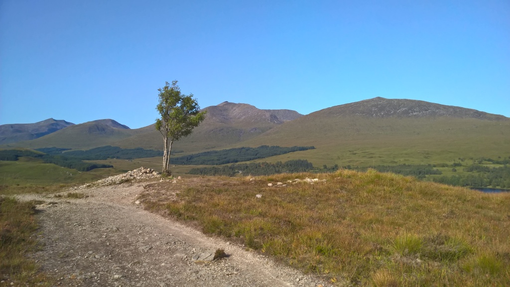 west highland way, scotland, blue skies, hills, mountains, lonely tree, pathway, countryside, loch tulla