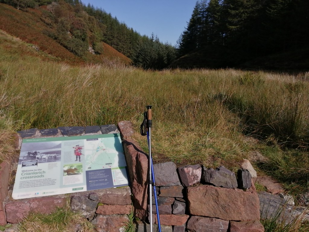west highland way, scotland, walking stick, trees, forest