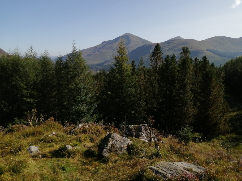 west highland way, scotland, trees, forest, treetops, hills, mountains, blue skies