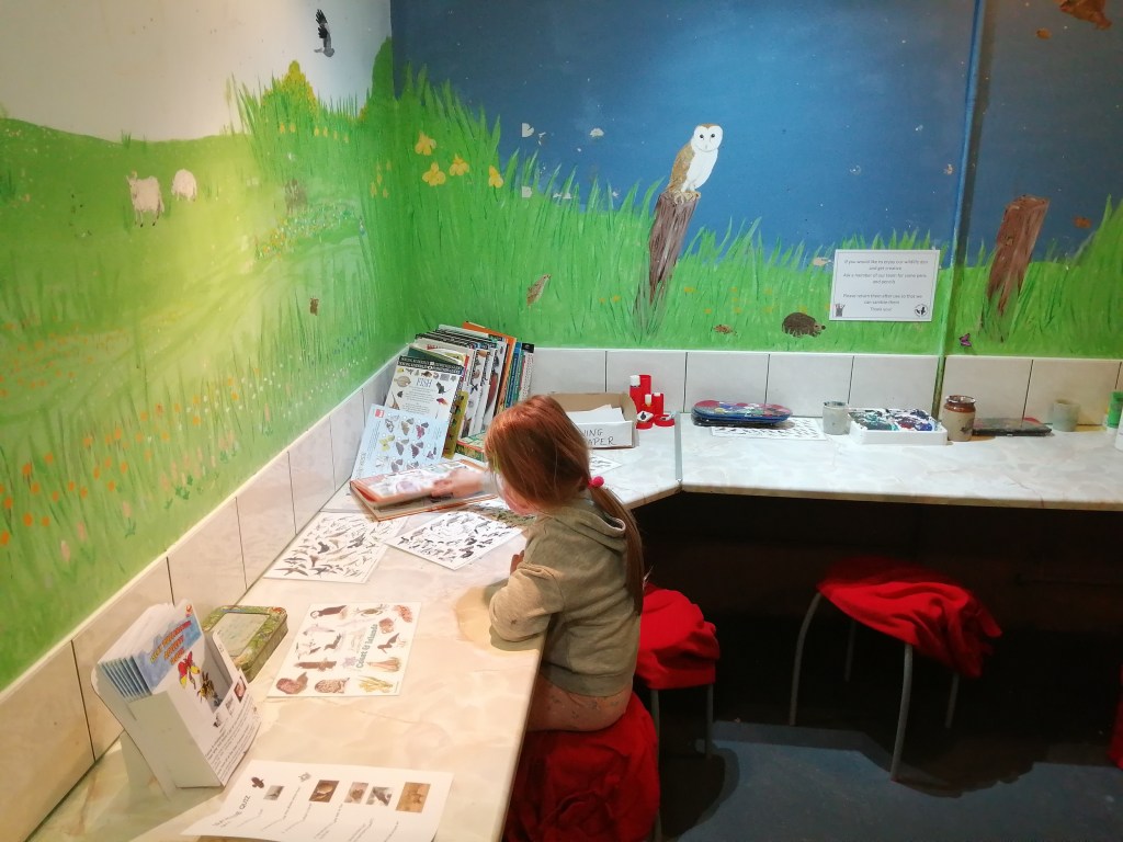 child drawing, books, artwork, wildlife, desk, educational, islay, scotland