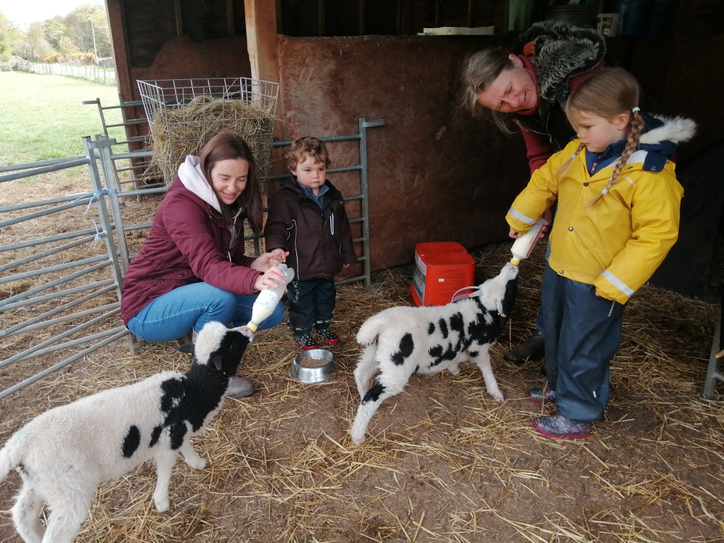 girl in yellow jacket feeding lamb, boy watching lamb, feeding baby lamb