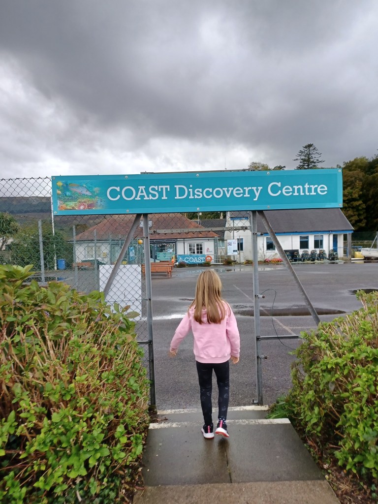 sign, fence, girl walking, girl in pink cardigan, arran