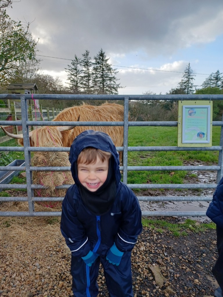 boy laughing, highland cow, boy in waterproof, isle of arran
